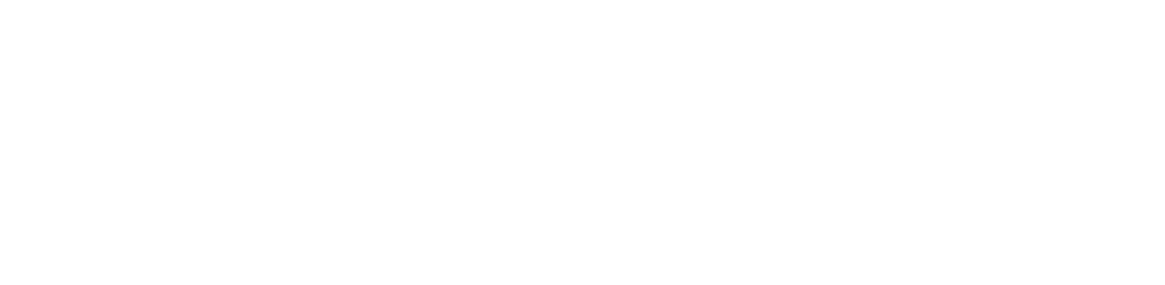 MonQey forensic